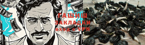 дживик Абинск