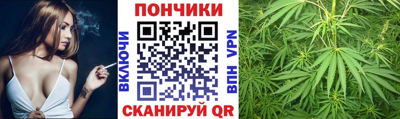 Бошки марихуана Amnesia  где купить наркотик  Нерехта 
